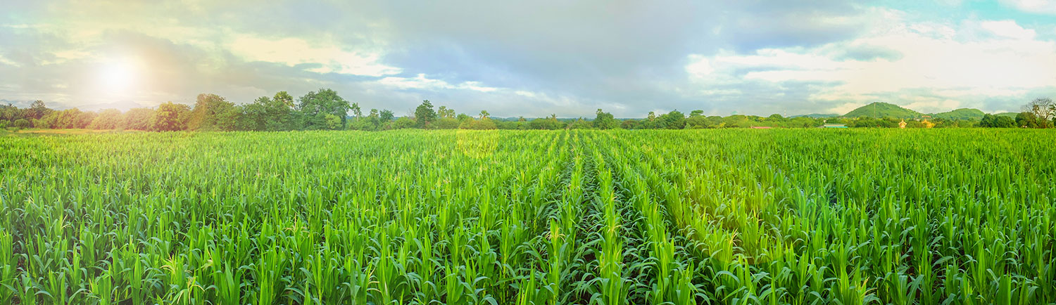 banner aquecimento solar para agronegócio